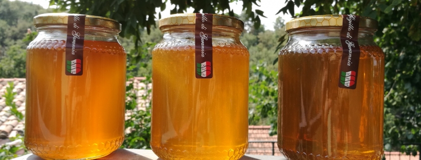 Tipologie di miele Millefiori