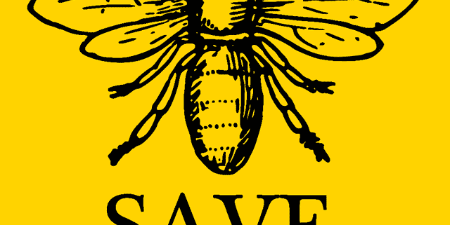 Come salvare le api