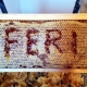 I benefici del miele naturale