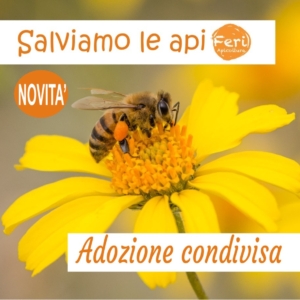 salviamo le api insieme adozione
