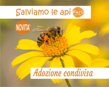 salviamo le api insieme adozione