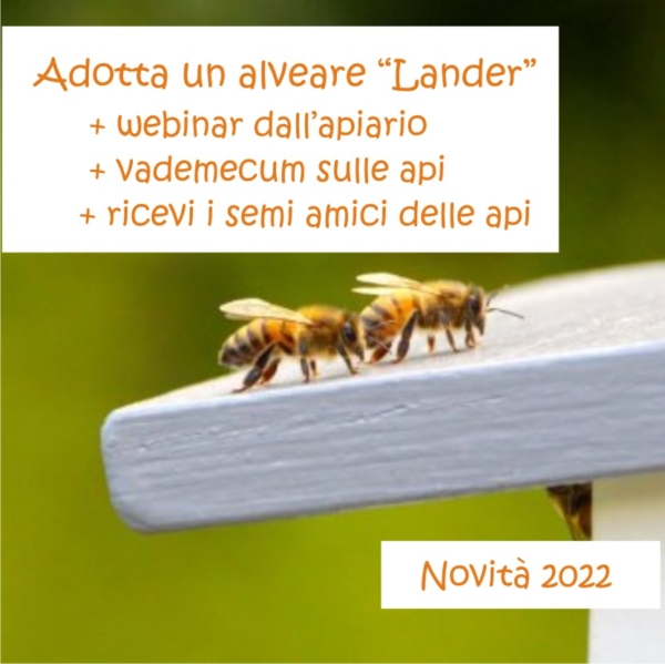 Adottare un alveare Lander