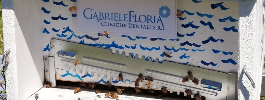 Alveare Gabriele Floria