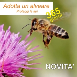 proteggi le api