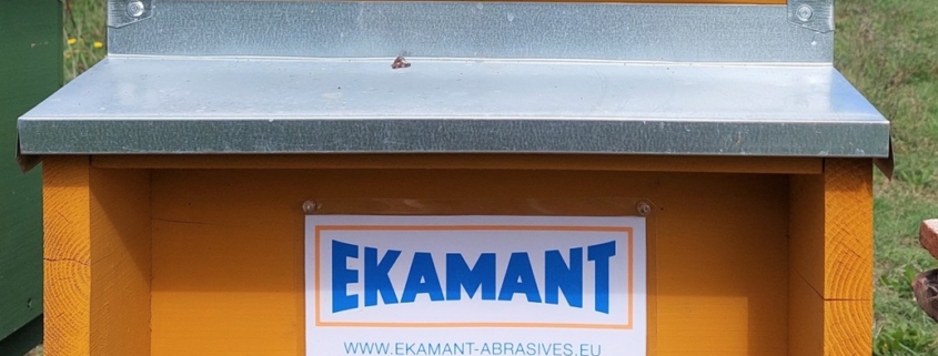 Arnia ekamant