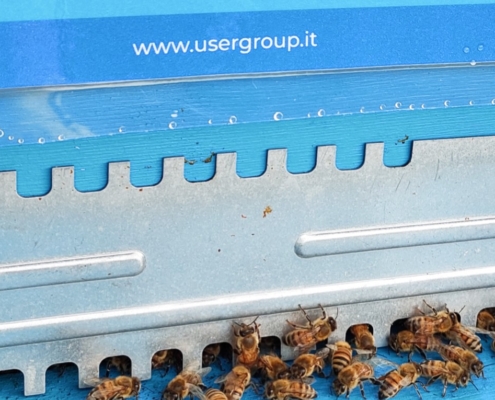 User Group Azienda Amica delle api