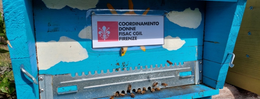 Alveare Fisac
