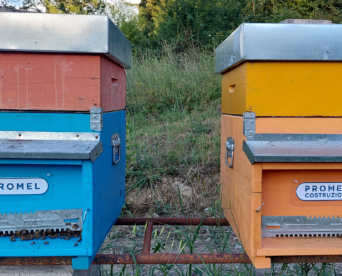 Promel Azienda Amica delle Api