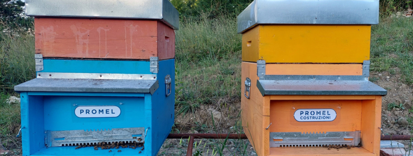 Promel Azienda Amica delle Api