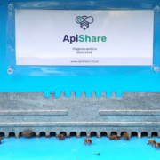 Arnia Apishare Amica delle Api