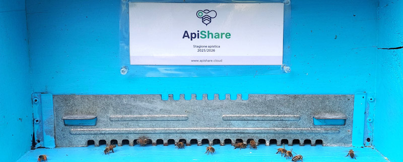 Arnia Apishare Amica delle Api